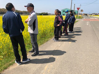 2018年　菜の花