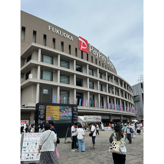 野球観戦