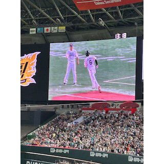 野球観戦